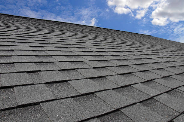 Professional Roofing in Pecatonica, IL